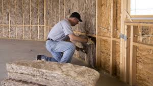 Best Garage Insulation  in Davison, MI